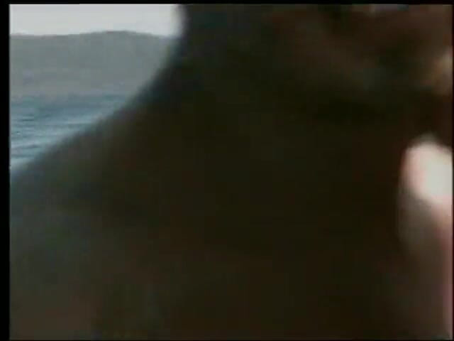 POV Orgasms: Pareja filmando en la playa
