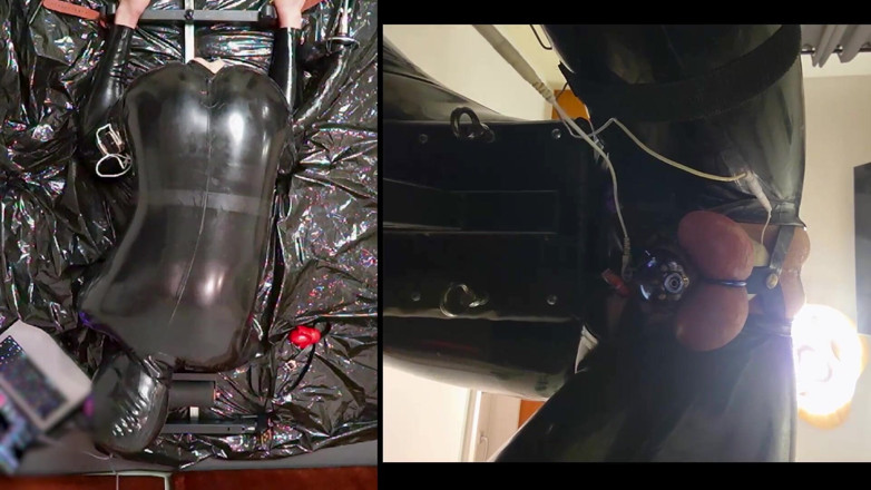 Chastitybeltboy: Sesja w pręgierzu z lateksowym kocim kombinezonem, Pa Chastity, Giant...