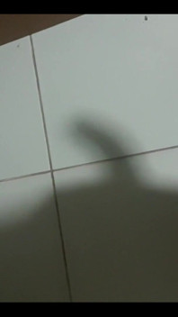 鸡巴的阴影