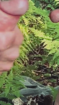 Natura cere o muie, futai și filmare cu spermă