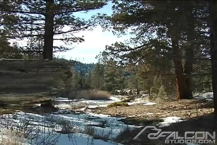Falcon Studios: Winter Heat