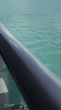 Cruise Ship