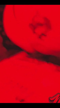 Stacxxxs Mempersembahkan: Serial Red Light District - Nikki Cakes