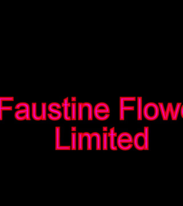 Faustine: Кроссдрессер Faustine, клітці цнотливості, намисто з кляпом у роті