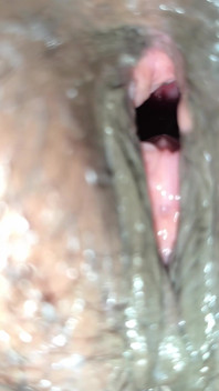 Close up Pussy