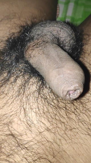 Bearfather123: Ragazzo single