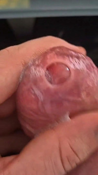 Big Uncut Stepdaddy.. Tight Phimosis Foreskin Play, Precum Flood, and Cumplay