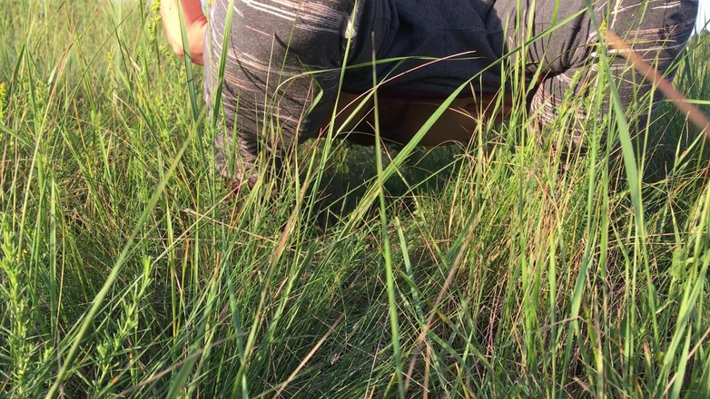 Risky Hairy Couple: Писаю в траве на лугу