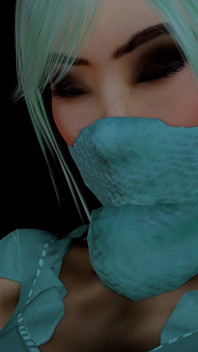 Nylon Shinobi - Trial of Endurance