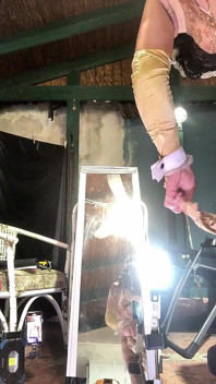 Sissy Bangs Dildo While Rock Hard