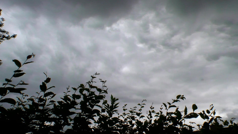 MMV BEST MOVIES AND CLIPS: Blocco in Appartamento Sporco Pieno Di Inquilina Cazzo Crudo!