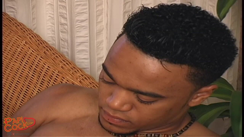 Tribal (Papi Cock) Tribal (Papi Cock)
