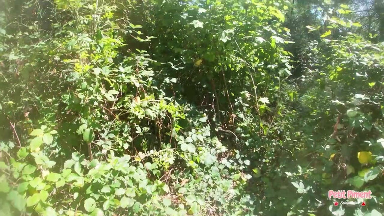 Petitpiment: Наш первый влог за лето