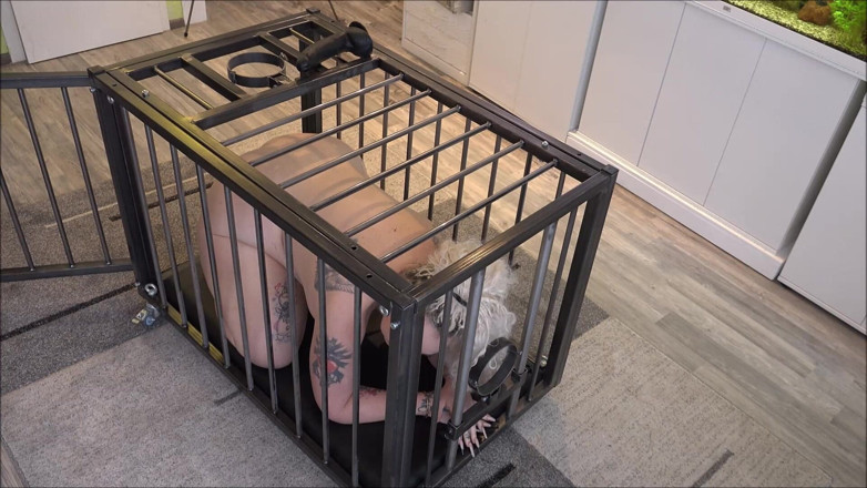 Sex and BDSM Slaves by her Master: 내 쾌락을 위해 이용당하는 성노예