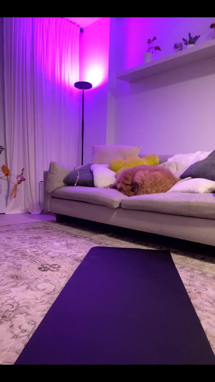 Dani Valentina: Transmisie în direct cu Dani Valentina