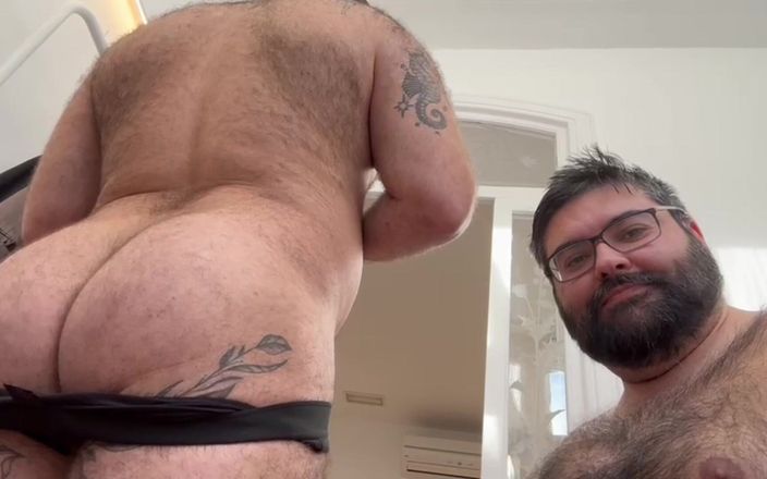 ScruffyStocky: Коренастые развлечение медведей