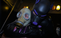 Project Y studios: Gimp Випущений