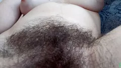 Never shaved huge hairy cunt. Thick forest