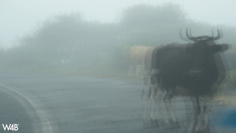 Watch4beauty: Sonnige Madeira mit Sapphira