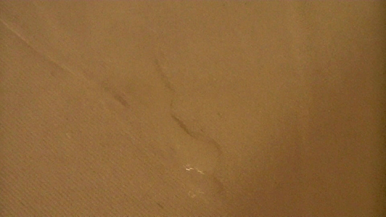 Mark Hannes: 벌거벗은 혹 자위