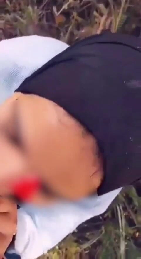 Amiramodel: Pipe Arab