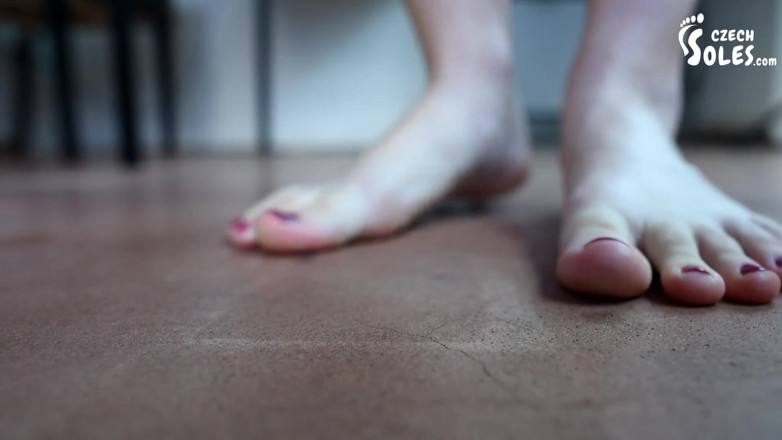 Czech Soles - foot fetish content: Foot crushing this annoying little bug - you!