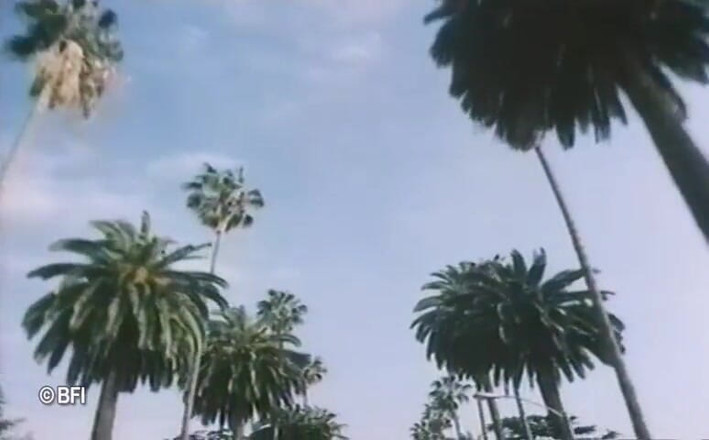 Vintage Vixens: Beverly hills, retro-sexvideo - holländische untertitel