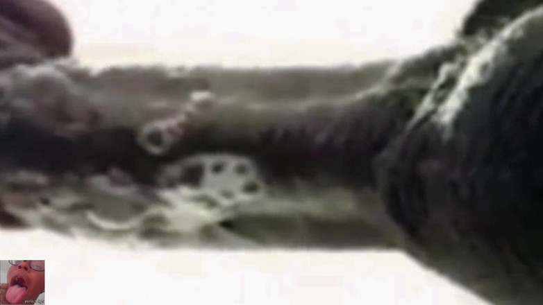 Wildwood21519: Şimdiye kadarki en iyi cim oral seks