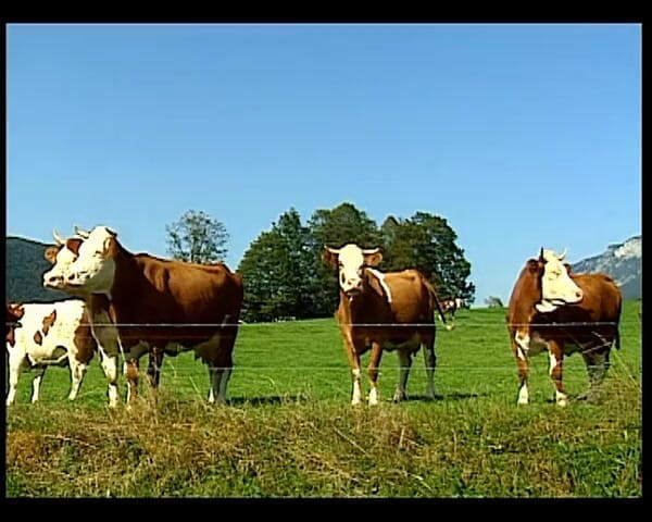 GERMAN PORN CLASSICS: Bumsfidel in Opper-Beieren