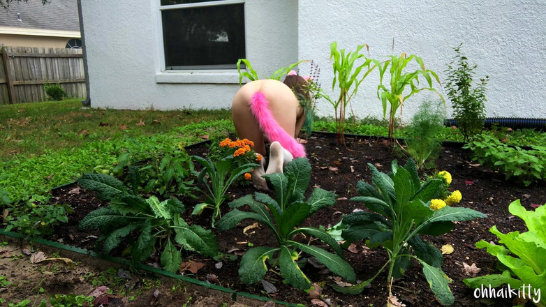 kactus kutie: 케일의 키티 금스