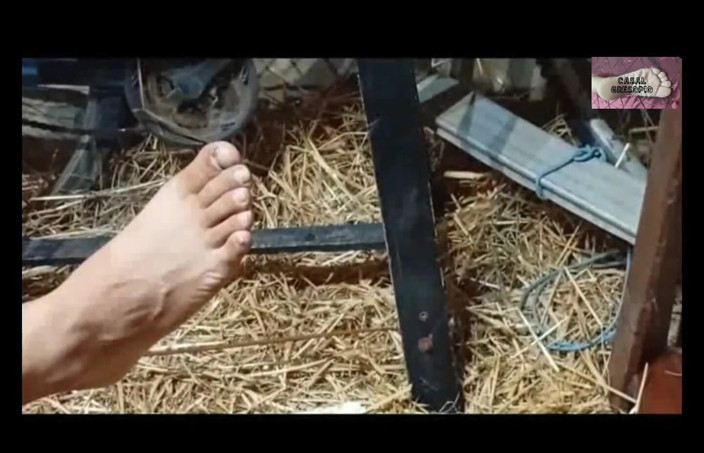 Casal Gresopio BDSM: 主の足を崇拝 2