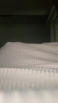 42D Tits