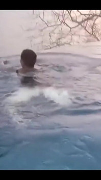 In the Pool