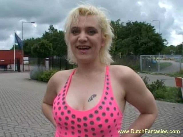 Dutch Fantasies: Fantasías holandesas: fantasía holandesa # 96