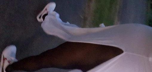 Lingeriemanx69: White dress and street walk