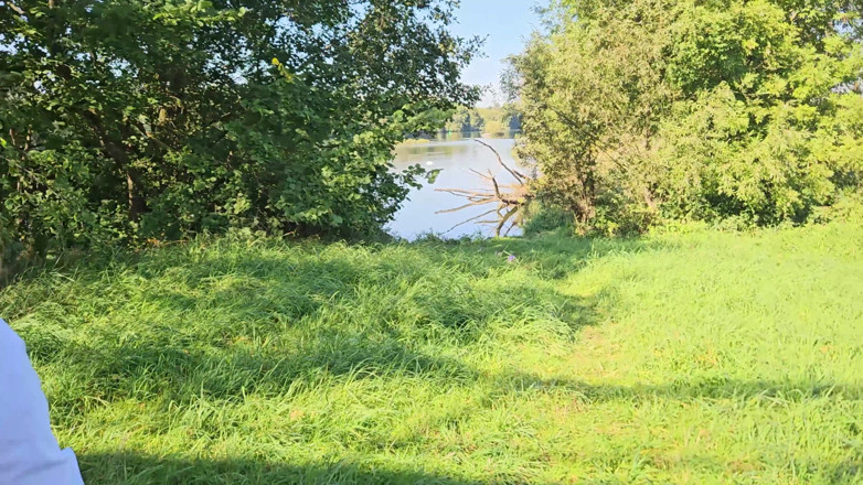 Aleman-Adult-Actor: Sperm Yutucu