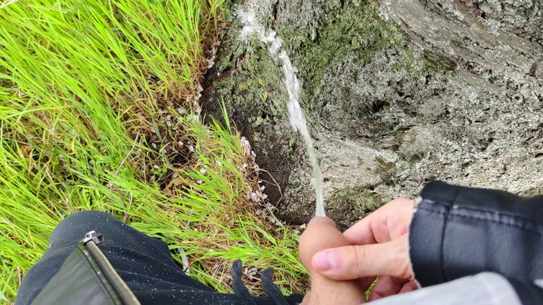 Bayer911: オークのそばのパイ