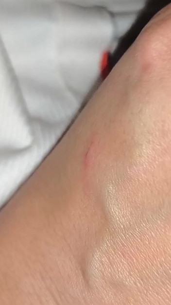 Moroccancouple: Blowjob Arab terbaik handjob kongkek isteri saya