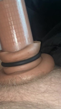 Early Morning Cock Sucker