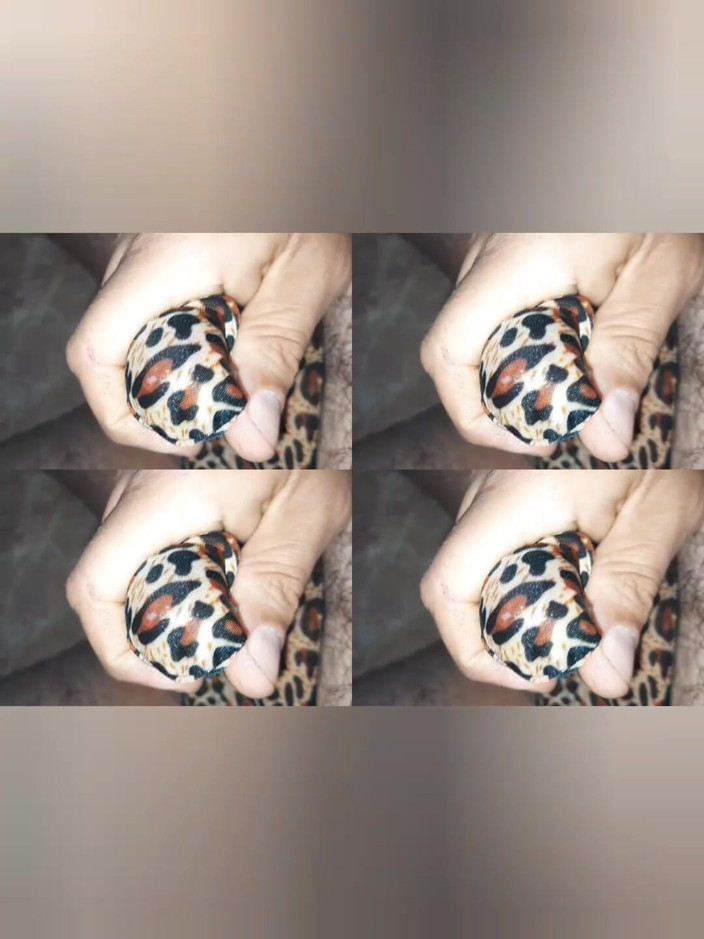 Davidandrexxx: Masturbasi Kaya Dan Masuk Ke Tanguita Kecil Kaya