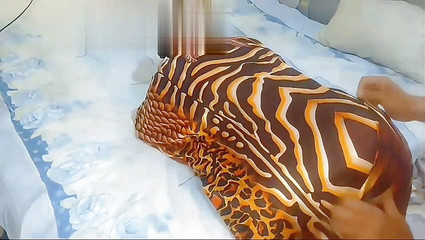 Dadaw studio: Memasuki Ia Penuh seperti Awak Di Hawa