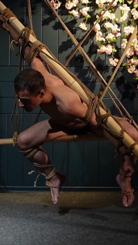 Beau Zeus attaché avec des cordes de jute, élégance Shibari dans une position impuissante Tension