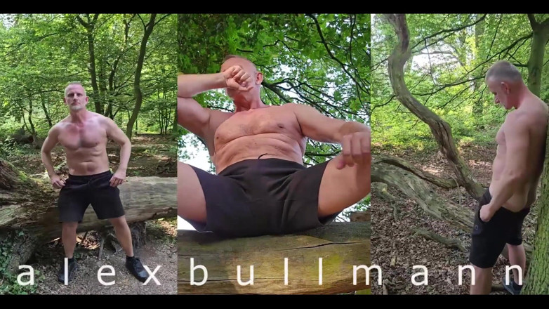 AlexBullmann: Лес