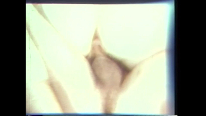 Vintage megastore: Babi vulgar berubah-ubah