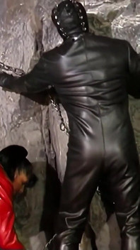 He Was a Bad Doggy