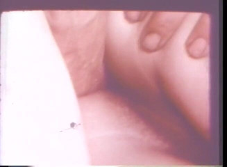 Vintage Usa: Vintage sex in the car