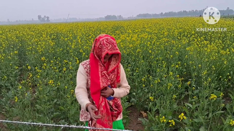 Rakesh: Indiana universitária, amigos da faculdade ki chudayi meu novo vídeo