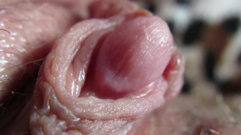 Cuteblonde666: Velká kompilace klitorisu 2