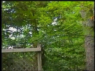 Gays Case: In the Woods a Stud Blows His Buddies After a...