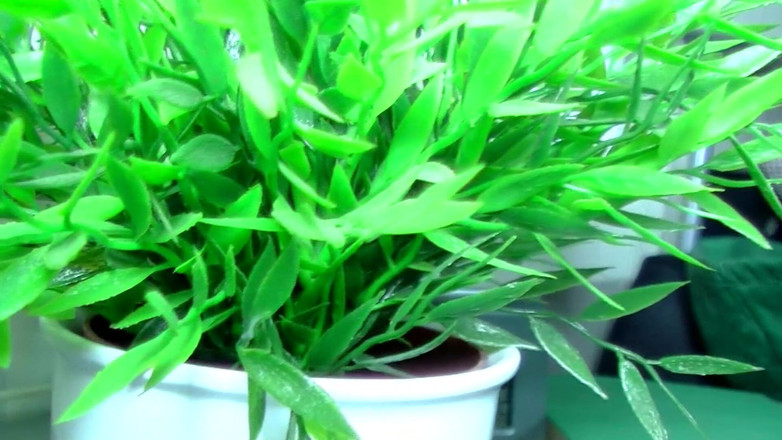 Deutsche Damen: Mogna feta tyska slampor knullade i otäck trekant